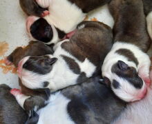 Vom Salamander Teich