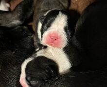 from the Hunterstreet